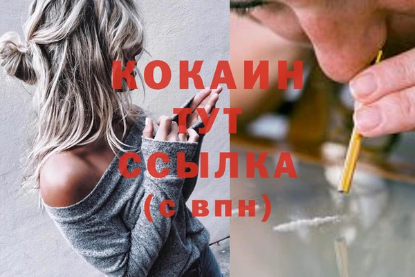 дмт Армянск