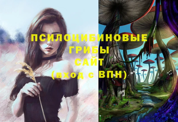 дмт Армянск