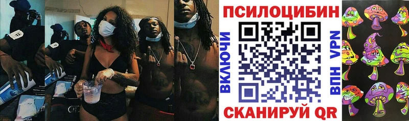 Псилоцибиновые грибы GOLDEN TEACHER  что такое   Нефтекумск 