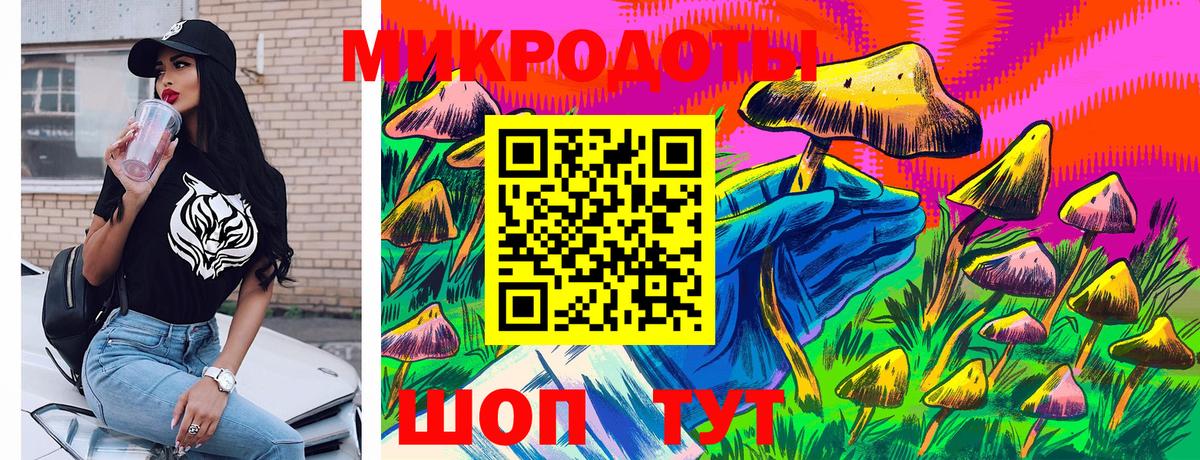 Псилоцибиновые грибы MAGIC MUSHROOMS  Вход с VPN  Нефтекумск 