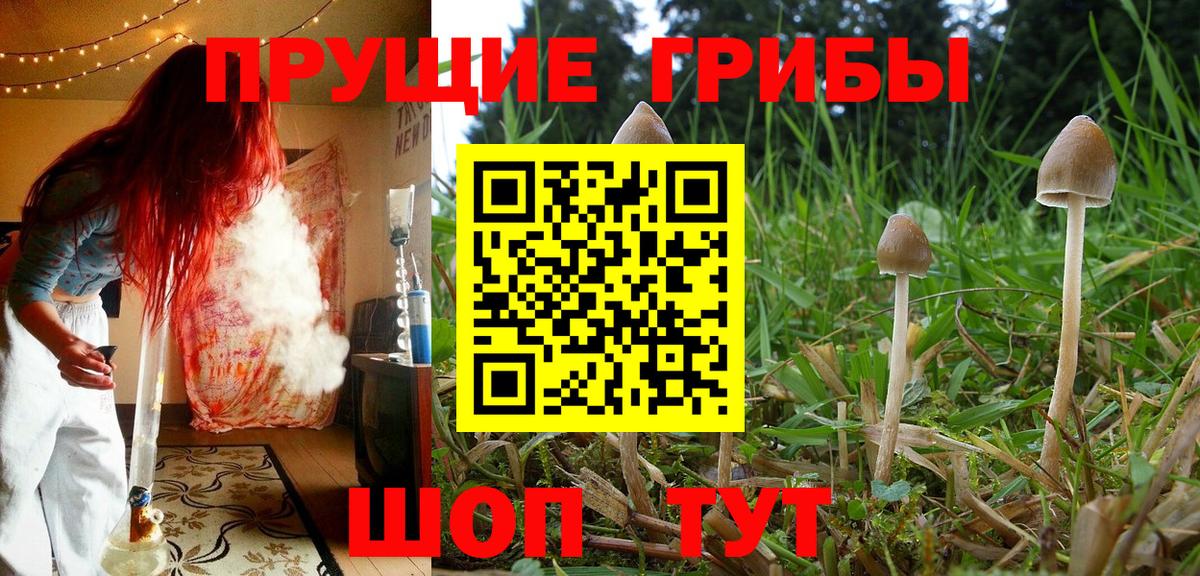 Псилоцибиновые грибы мухоморы Нефтекумск